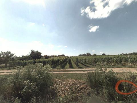 Prodej sadu/vinice, Vacenovice, 1366 m2