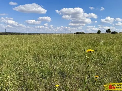 Prodej pozemku pro komerční výstavbu, Znojmo - Mramotice, 8168 m2