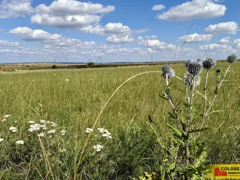 Prodej pozemku pro komerční výstavbu, Znojmo, 27908 m2