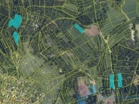 Prodej lesa, Železný Brod - Jirkov, 15992 m2