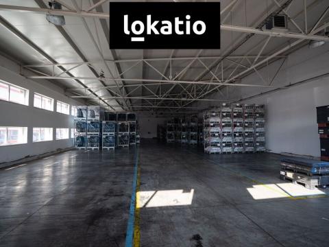 Pronájem skladu, Bílina, Důlní, 736 m2