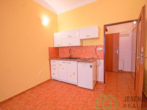 Pronájem bytu 1+kk, Vidnava, Radniční, 38 m2