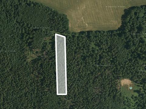 Prodej lesa, Bezměrov, 2284 m2