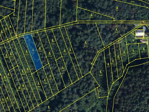 Prodej lesa, Rájec, 782 m2