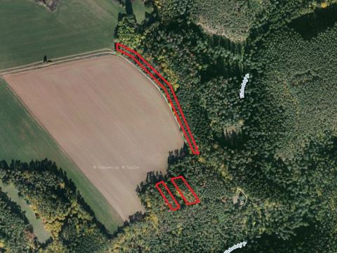 Prodej lesa, Všehrdy, 2936 m2