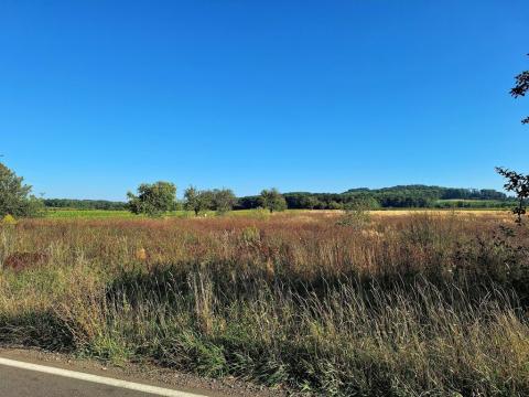Prodej zemědělské půdy, Mnichovo Hradiště - Sychrov, 140145 m2