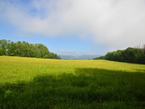 Prodej trvalého travního porostu, Heřmanov, Heřmanov, 96032 m2