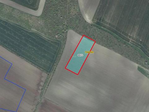 Prodej zemědělské půdy, Podsedice, 5434 m2