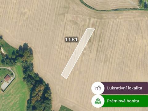 Prodej zemědělské půdy, Bořice, 2311 m2