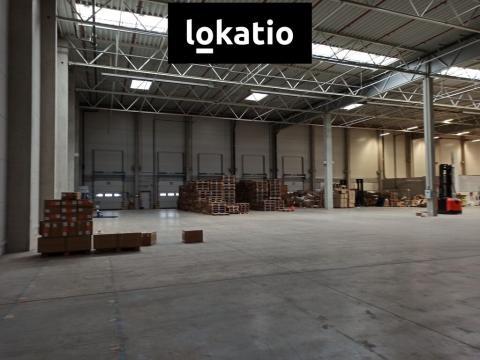 Pronájem skladu, Pavlov, Logistická, 1000 m2