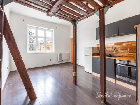 Pronájem bytu 1+kk, Praha - Michle, Michelská, 25 m2
