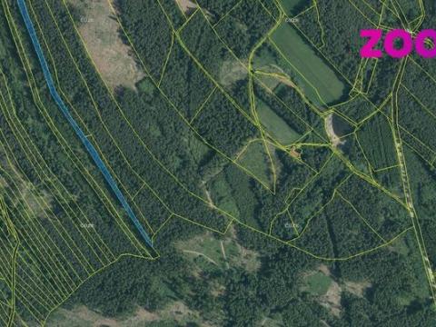 Prodej lesa, Deštná, 4056 m2