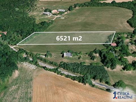 Prodej trvalého travního porostu, Staré Hrady, 6521 m2