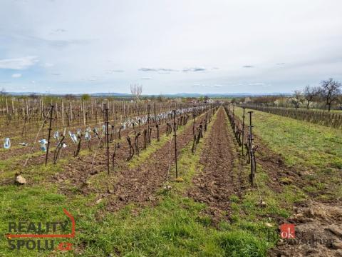 Prodej pozemku, Prušánky, Nechory, 1280 m2