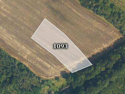Prodej zemědělské půdy, Horušice, 23453 m2