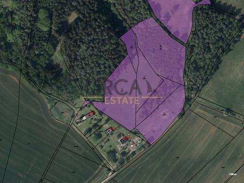 Prodej podílu trvalého travního porostu, Borovnička, 37109 m2
