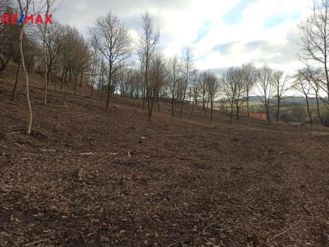 Prodej pozemku pro bydlení, Votice, Fibichova, 8870 m2
