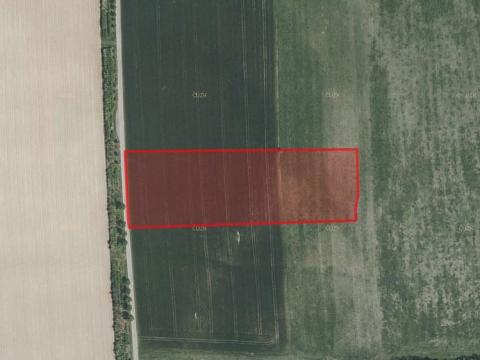 Prodej zemědělské půdy, Lukavice, 15719 m2