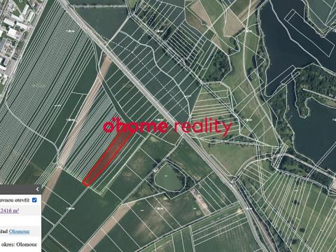 Prodej zemědělské půdy, Horka nad Moravou, 12416 m2