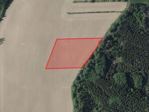 Prodej zemědělské půdy, Nová Cerekev, 15383 m2