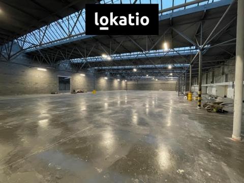 Pronájem skladu, Žatec, 8000 m2