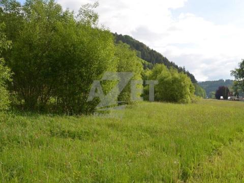 Prodej pozemku pro bydlení, Hanušovice - Potůčník, 4500 m2