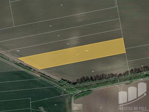 Prodej zemědělské půdy, Horní Věstonice, 12226 m2