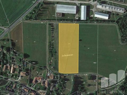 Prodej zemědělské půdy, Konice - Runářov, 2547 m2
