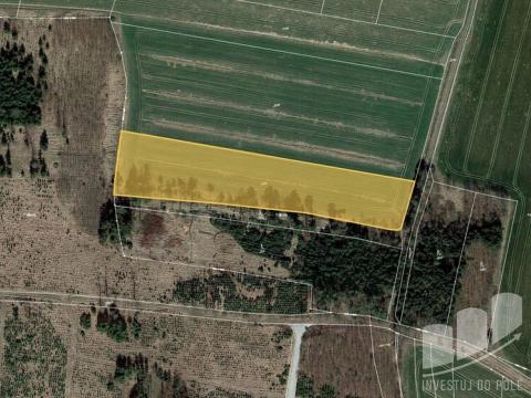 Prodej zemědělské půdy, Sviny, 10050 m2