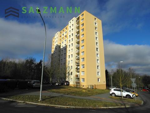Pronájem bytu 1+kk, Plzeň, Rabštejnská, 32 m2