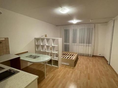 Pronájem bytu 1+kk, Praha - Horní Měcholupy, Ravennská, 30 m2