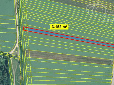 Prodej podílu 1/2 zemědělské půdy, Javorník, 3152 m2