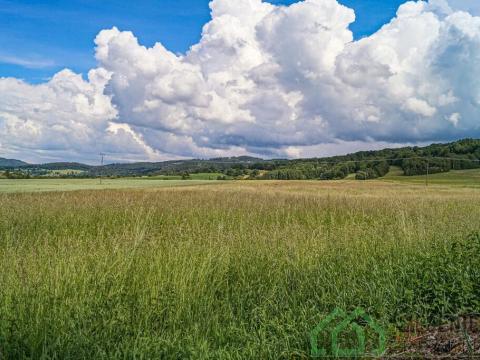 Prodej zemědělské půdy, Nový Malín, 49431 m2