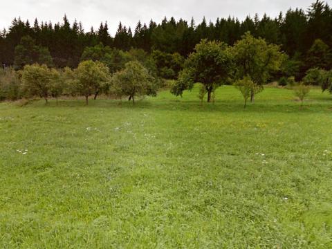 Prodej trvalého travního porostu, Lužná, 2813 m2