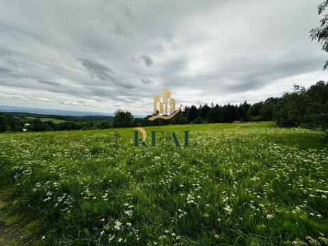 Prodej trvalého travního porostu, Blatno, 14803 m2