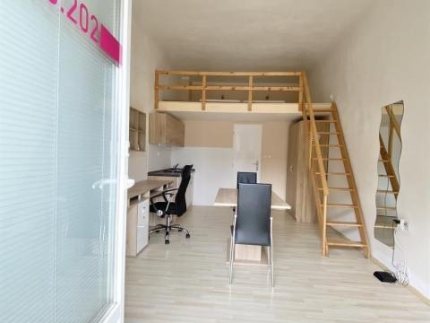 Pronájem bytu 1+kk, Brno - Staré Brno, Václavská, 22 m2