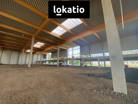 Pronájem skladu, Ostrava, Krmelínská, 1190 m2