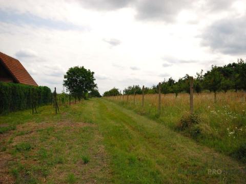 Prodej pozemku pro bydlení, Břeclav - Charvátská Nová Ves, 1992 m2