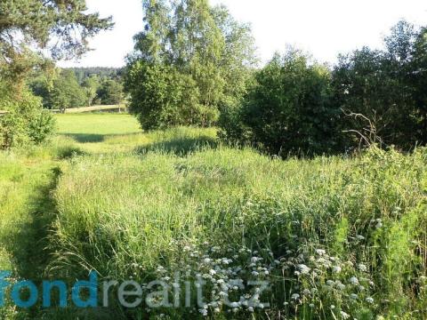 Prodej trvalého travního porostu, Hospříz, 9504 m2