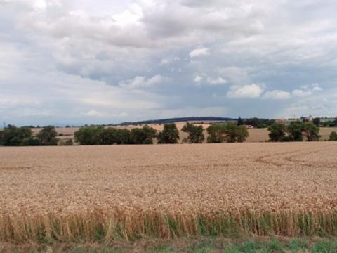 Prodej podílu zemědělské půdy, Pavlovice u Kojetína, 5603 m2