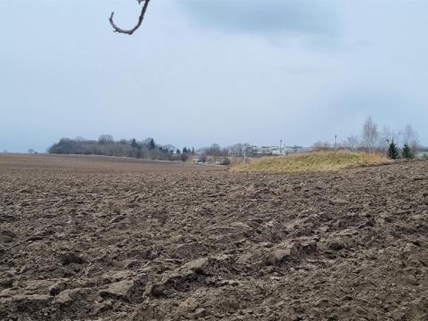 Prodej zemědělské půdy, Číčovice, 14648 m2