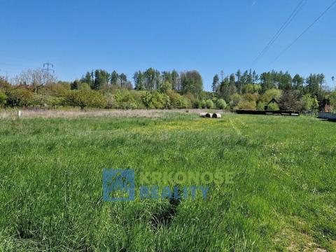 Prodej pozemku, Horní Stropnice - Krčín, 4081 m2