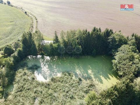 Prodej rybníku, Rychnov nad Kněžnou - Lipovka, 5965 m2