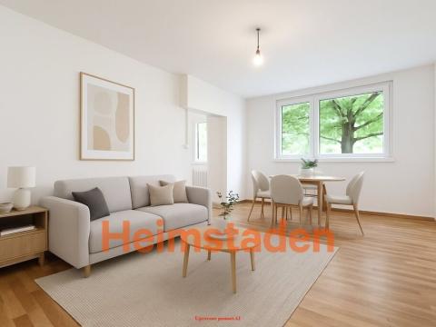 Pronájem bytu 1+kk, Karviná - Hranice, Slovenská, 30 m2