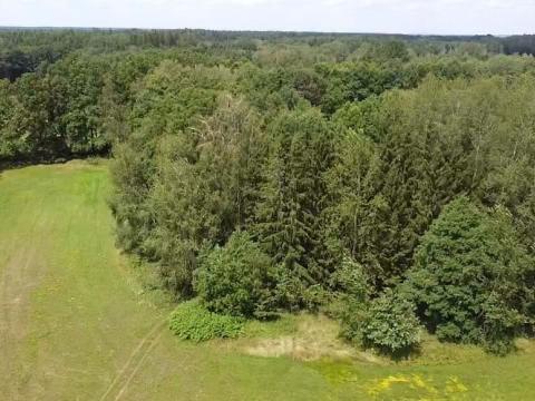 Prodej louky, Chlum u Třeboně - Žíteč, 220000 m2