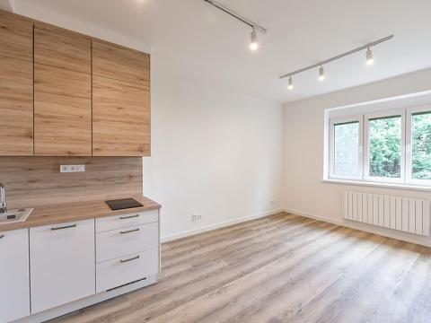 Pronájem bytu 1+kk, Praha - Michle, Hanusova, 26 m2