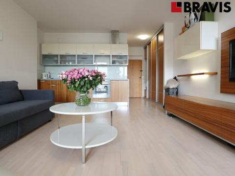 Pronájem bytu 1+kk, Brno - Staré Brno, Leitnerova, 43 m2