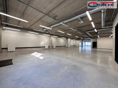 Pronájem skladu, Praha - Horní Počernice, K Bílému vrchu, 1100 m2