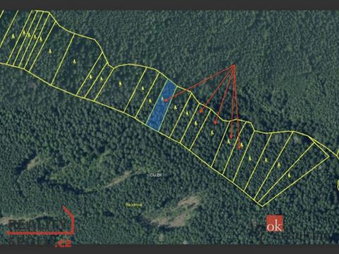 Prodej lesa, Česká Bříza, 7092 m2