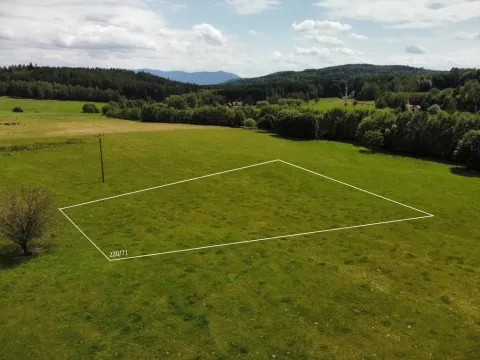 Prodej pozemku pro bydlení, Česká Kubice - Starý Spálenec, 2028 m2
